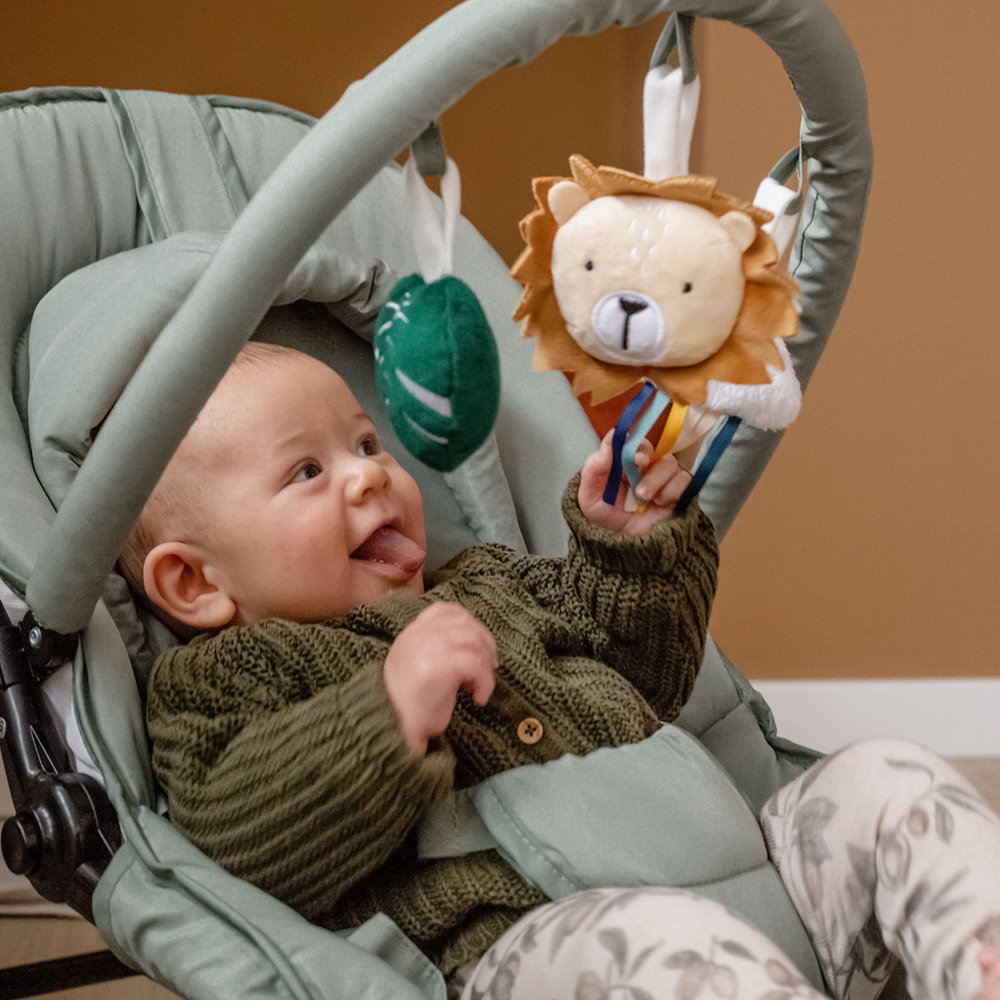 Tryco Baby Bouncer - Lion Leo - Green Tryco Baby Bouncer - Lion Leo - Green