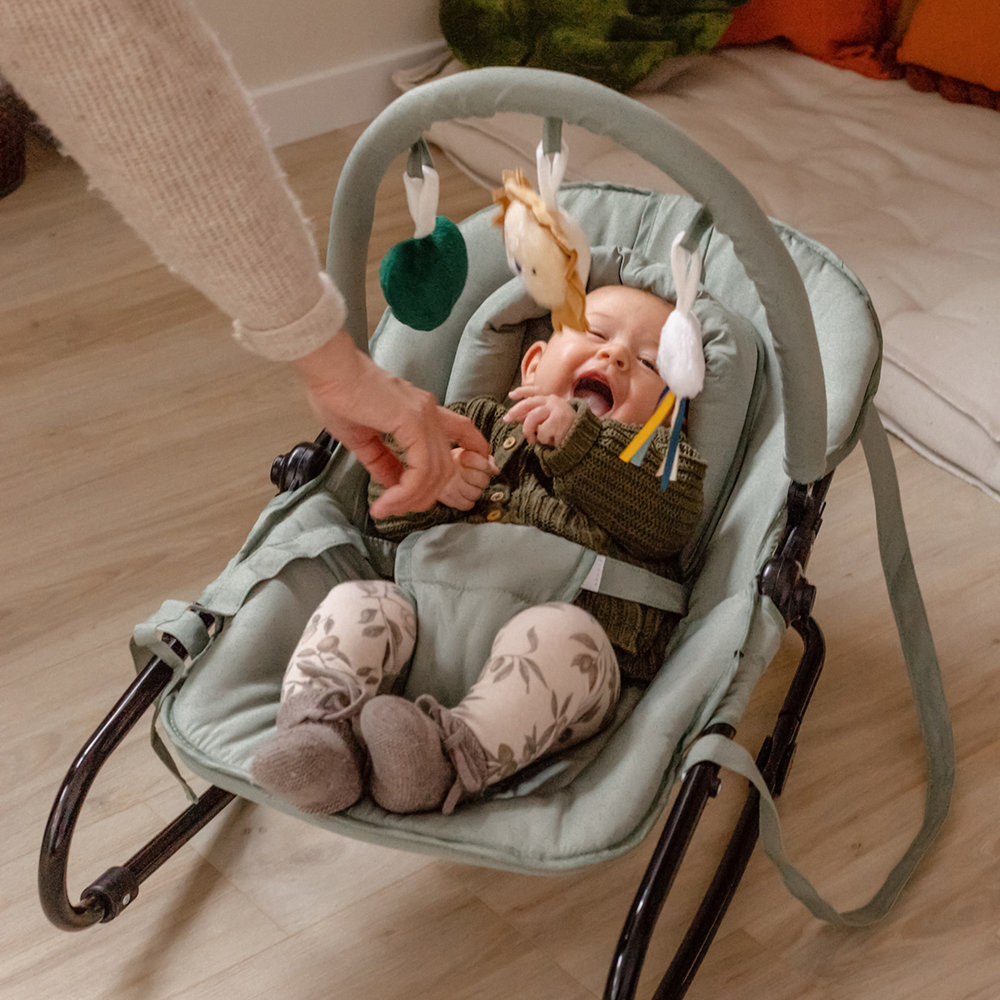 Tryco Baby Bouncer - Lion Leo - Green Tryco Baby Bouncer - Lion Leo - Green