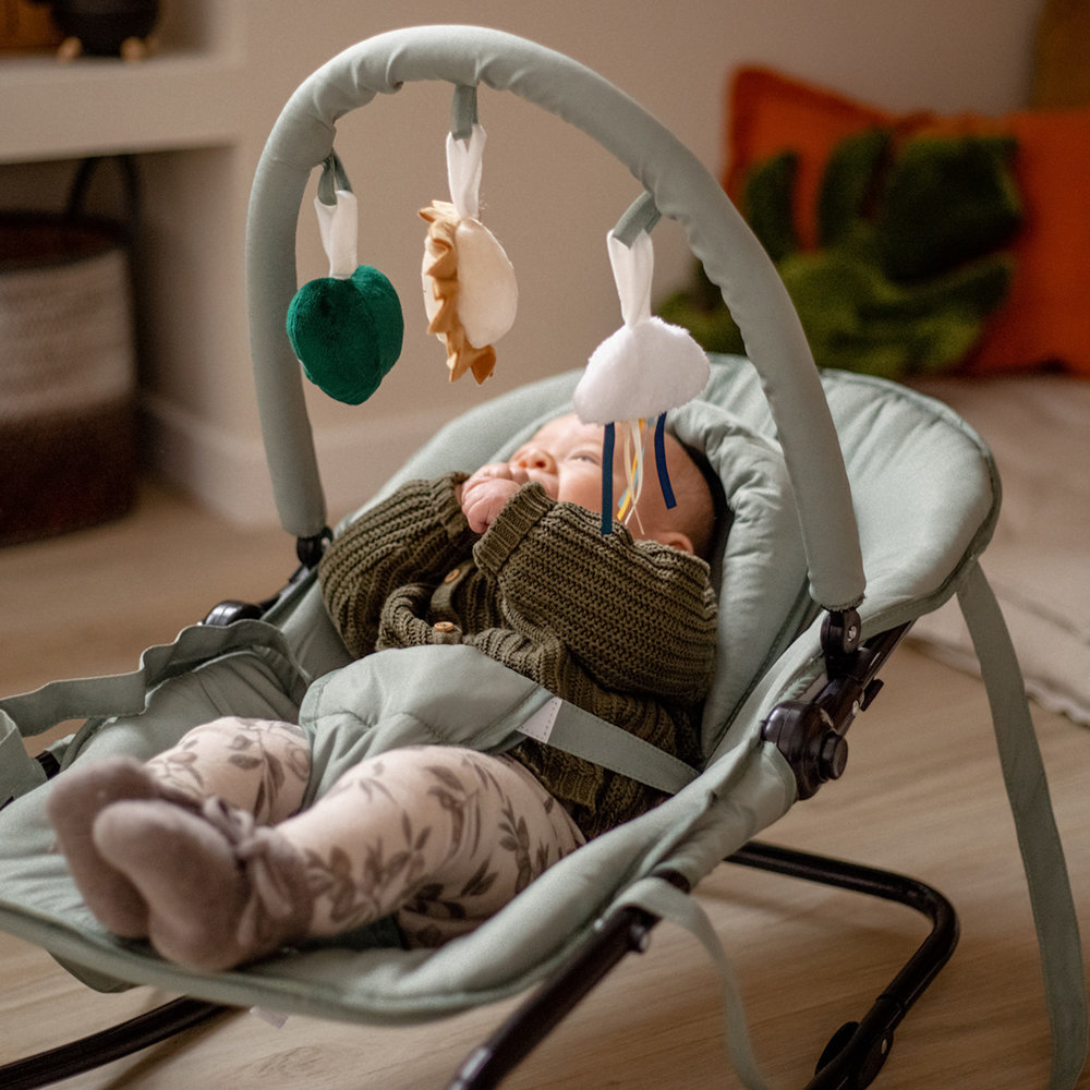 Tryco Baby Bouncer - Lion Leo - Green Tryco Baby Bouncer - Lion Leo - Green