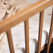 Jollein Hoeslaken Jersey 60x120cm - Happy Miffy Nougat Jollein Hoeslaken Jersey 60x120cm - Happy Miffy Nougat