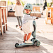 Scoot and Ride Highwaykick 1 step - Steel Scoot and Ride Highwaykick 1 step - Steel