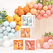 PartyDeco Ballon boxen BABY Wit (30 x 30 cm) PartyDeco Ballon boxen BABY Wit (30 x 30 cm)