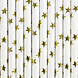 PartyDeco Rietjes Gouden Sterren (10 st 19,5cm) PartyDeco Rietjes Gouden Sterren (10 st 19,5cm)
