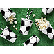 PartyDeco Bekertjes Voetbal (6 st 260 ml) PartyDeco Bekertjes Voetbal (6 st 260 ml)