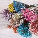 Geurstokjes met paarse droogbloemen Garden Lavender - 200 ml Geurstokjes met paarse droogbloemen Garden Lavender - 200 ml
