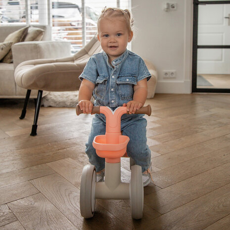 Tryco Loopfiets Luna - Pink