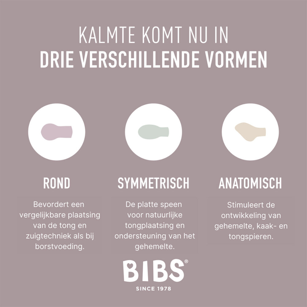 BIBS Glow in the dark speen - 2 pack - Blush/Vanilla Night BIBS Glow in the dark speen - 2 pack - Blush/Vanilla Night