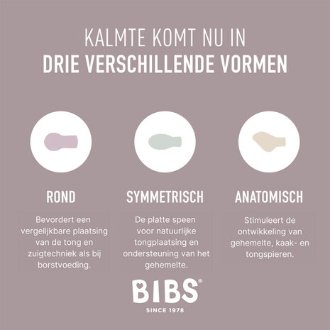 BIBS Glow in the dark speen - 2 pack - Blush/Vanilla Night BIBS Glow in the dark speen - 2 pack - Blush/Vanilla Night