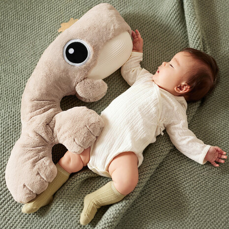Topbright Soothing Whale - Knuffel met licht, geluid en beweging Topbright Soothing Whale - Knuffel met licht, geluid en beweging