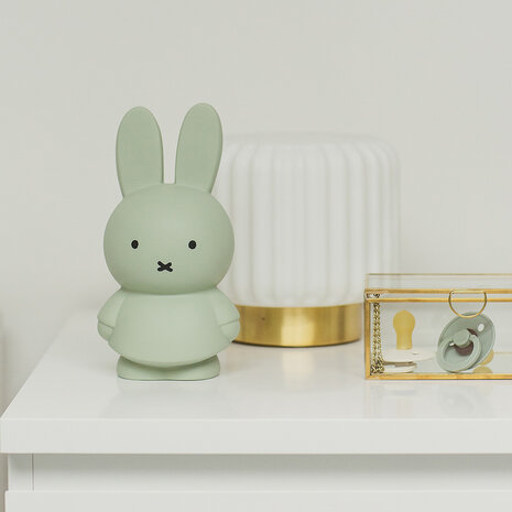 Atelier Pierre  Nijntje spaarpot - Eucalyptus