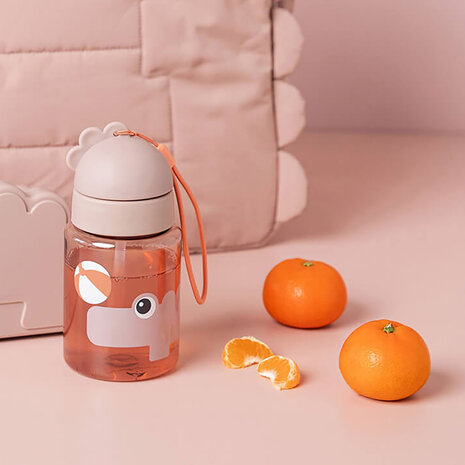 Done by Deer Rietjesfles Playground Powder