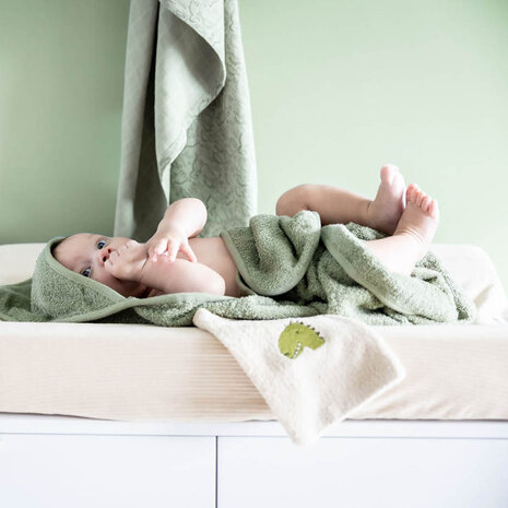 Trixie Washandje Aura (2-pack) - Mr. Dino Trixie Washandje Aura (2-pack) - Mr. Dino