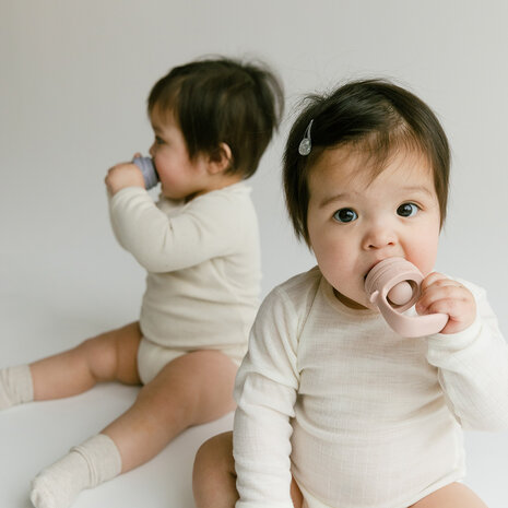 BIBS Baby Feeder Fruitspeen - Blush BIBS Baby Feeder Fruitspeen - Blush