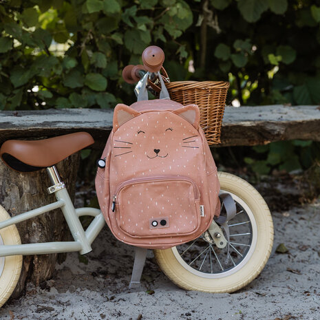 Trixie Back to School set - Mrs. Cat