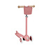 Step Eco Scooter - Raspberry