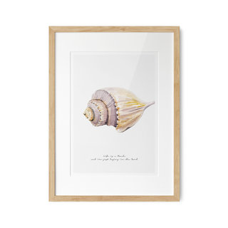 Poster Strand Schelp Hoorn A3