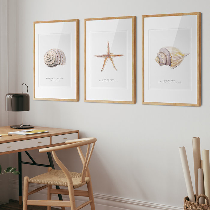 Poster Strand Schelp Hoorn A3