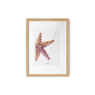 Poster Strand Zeester A4