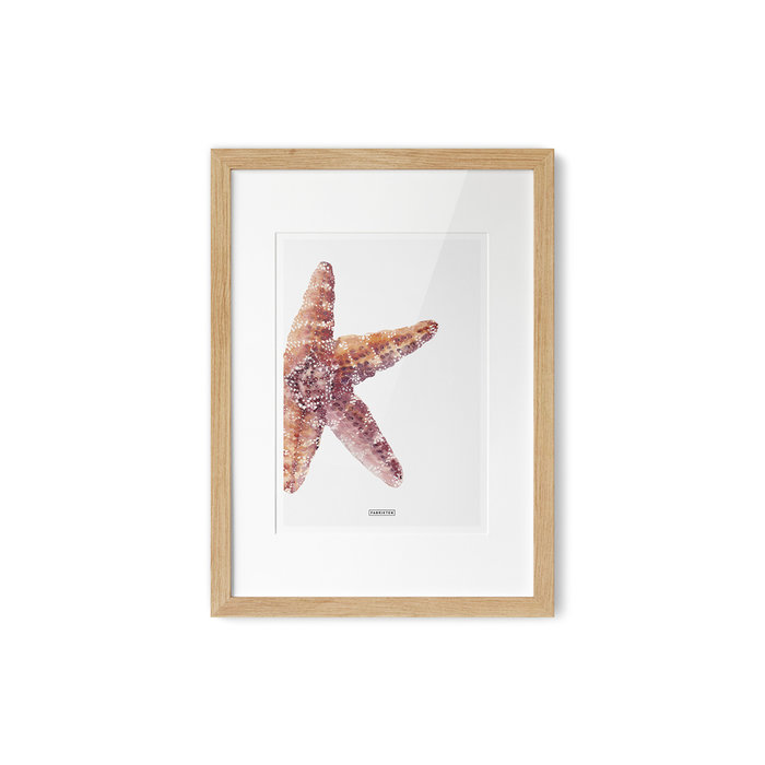 Poster Strand Zeester A4
