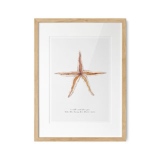 Poster Strand Zeester A3