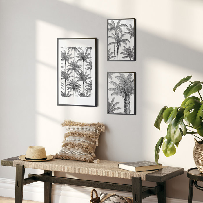 Poster Areca  Palm A3