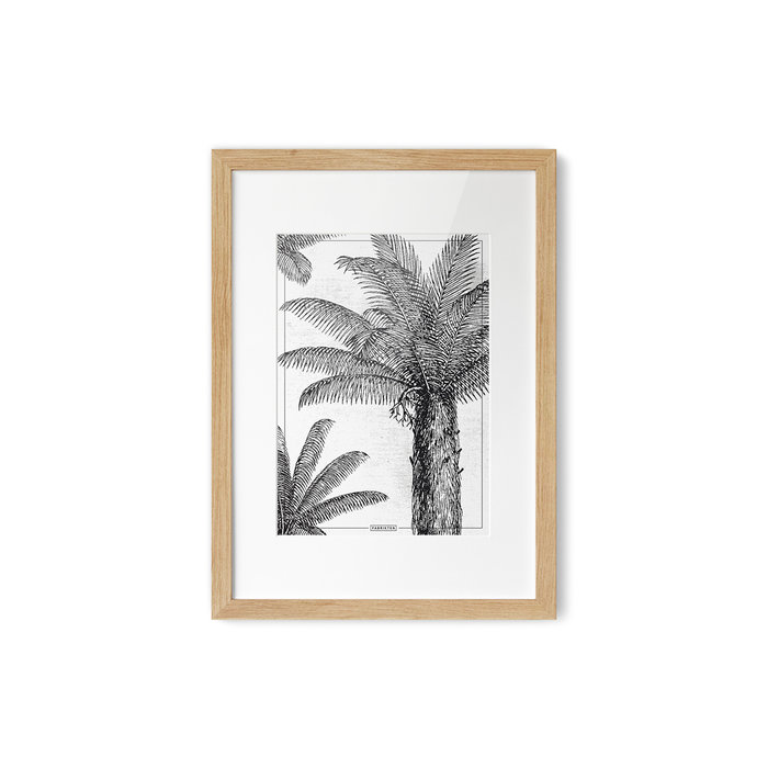 Poster Koningspalm A4