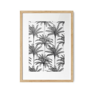 Poster Areca  Palm A3