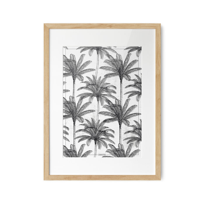 Poster Areca  Palm A3