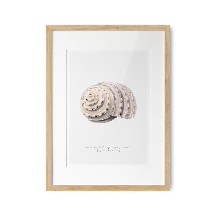 Poster Strand Schelp A3