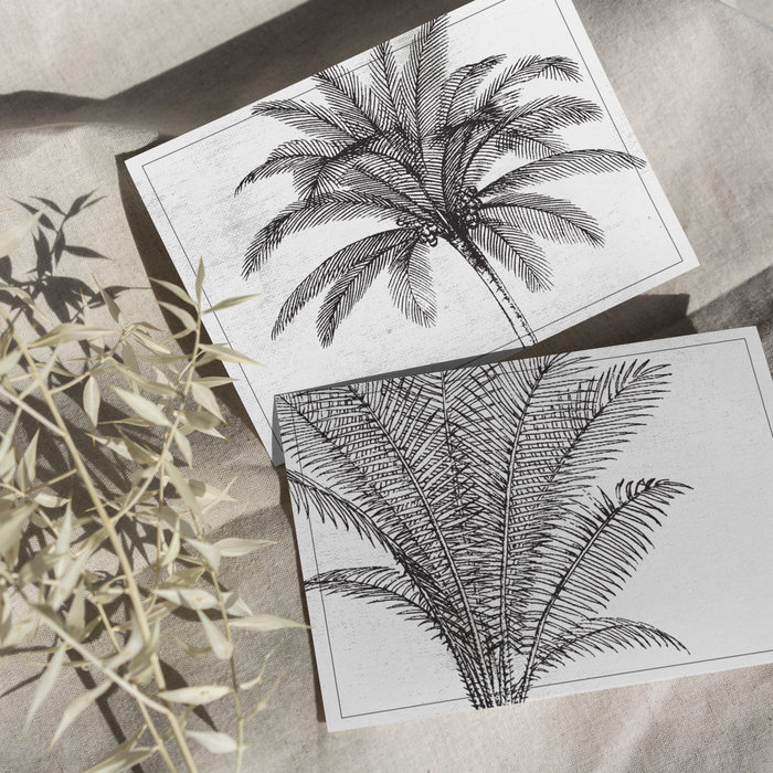 Ansichtkaartenset Palm