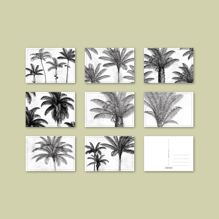 Ansichtkaartenset Palm