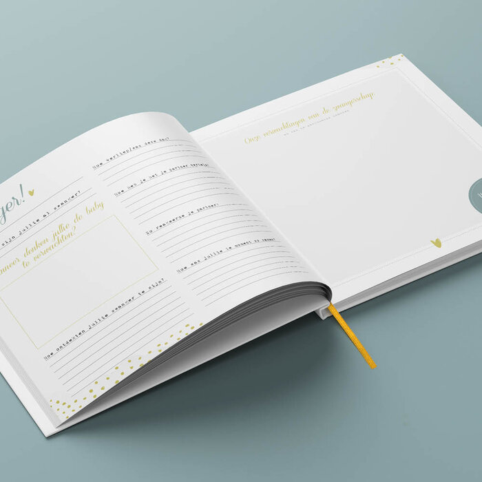 Negen Maanden Invulboek