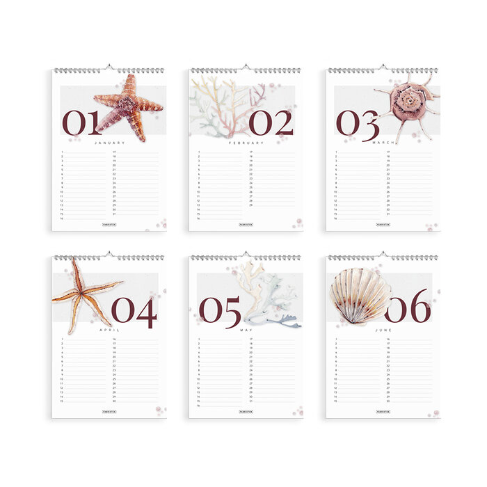 Fabrikten verjaardagskalender + weekplanner Strand bundel A4
