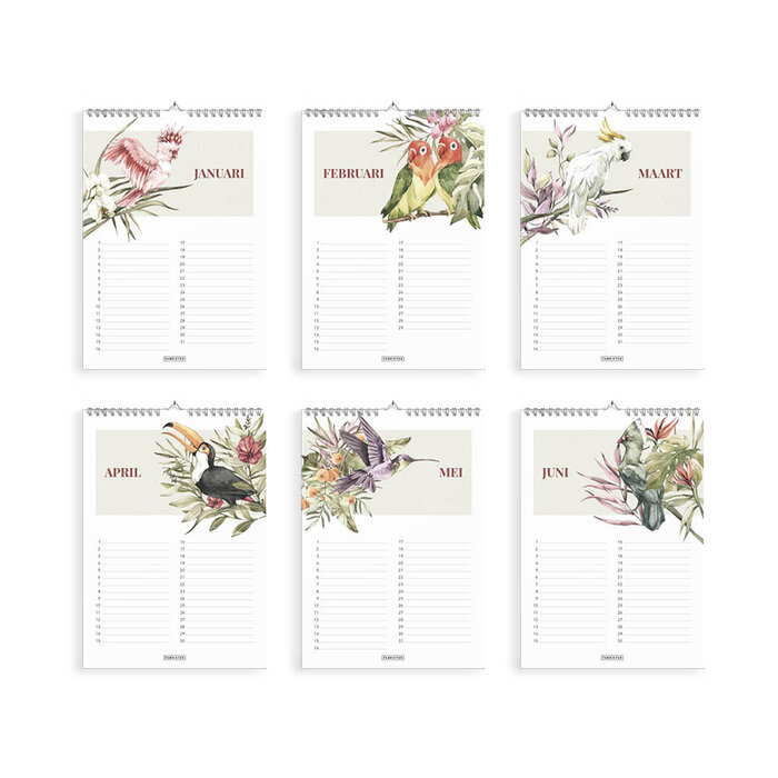 Fabrikten verjaardagskalender + compacte weekplanner Tropisch bundel