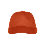 Clique Texas cap