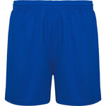 ROLY ROLY PLAYER PA0453