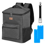 Brisby Packaway Koeltas Rugzak 25L