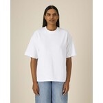 stanley & stella Unisex heavyweight boxy Asher t-shirt STTU078