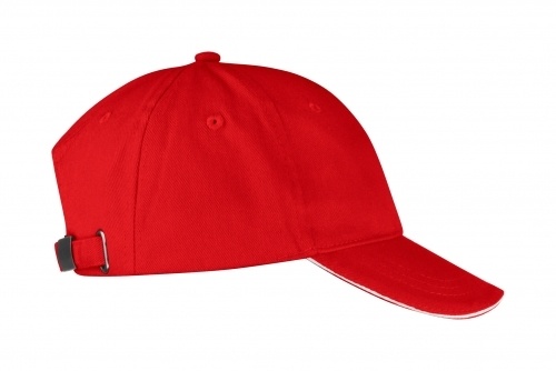 Clique Davis 6-panel