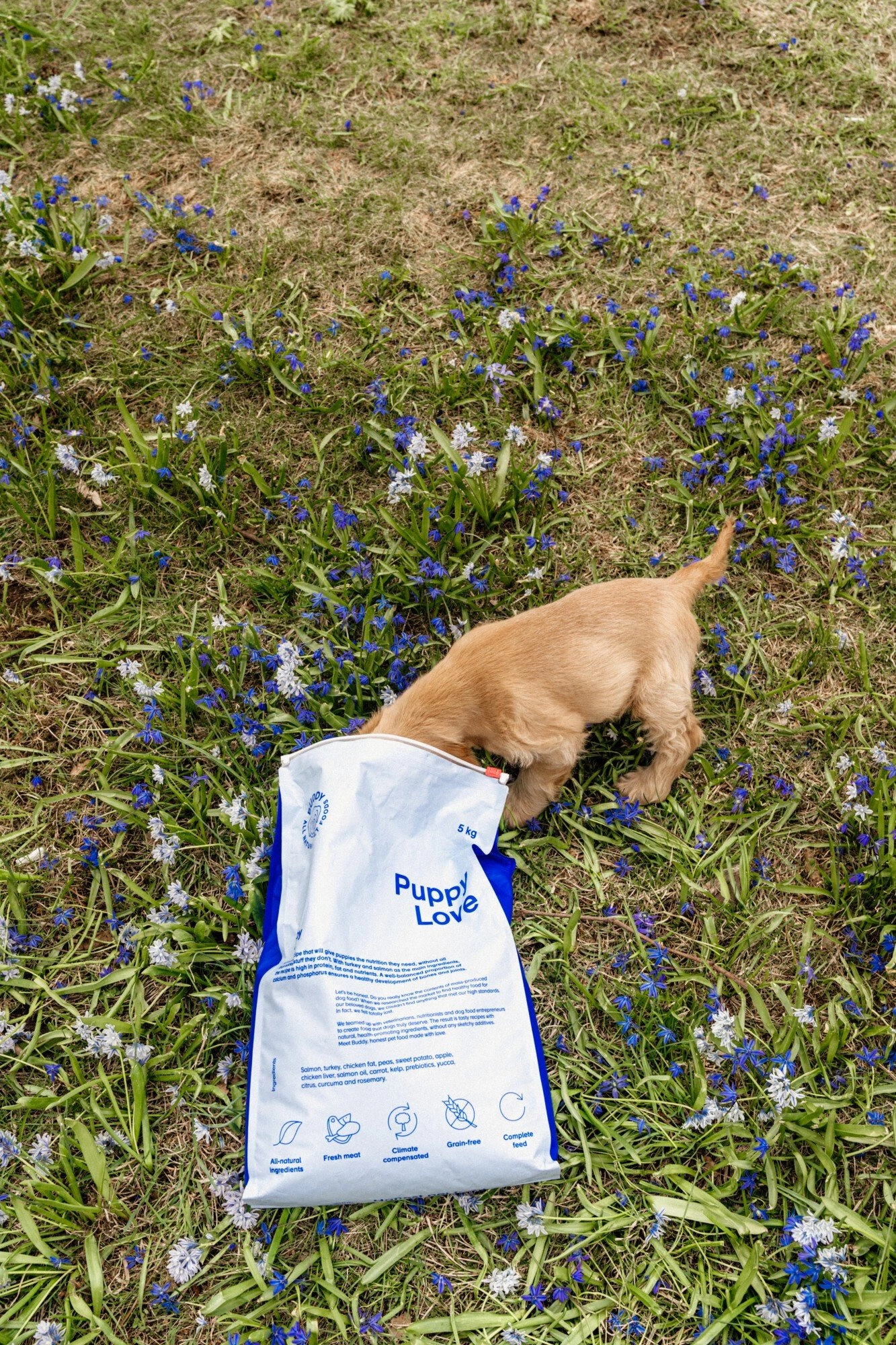 Buddy Puppy Love 5 kg