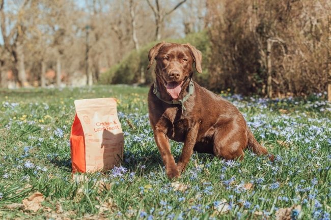 Buddy Chicken & Lamb Feast 2 kg