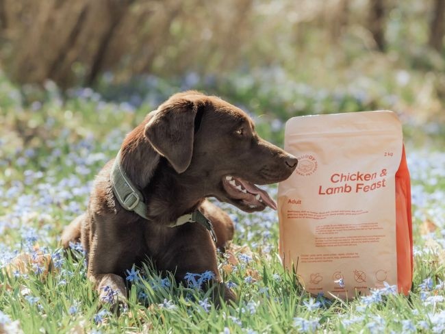 Buddy Chicken & Lamb Feast 12 kg