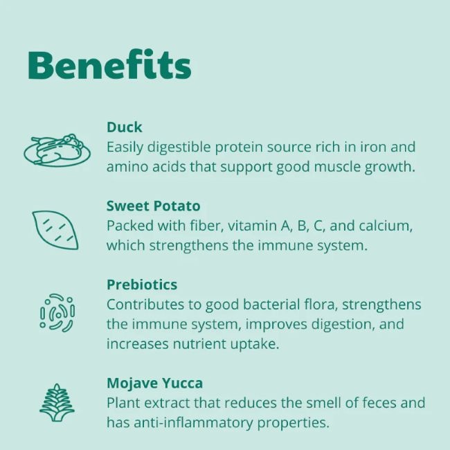 Buddy Free-Range Duck 12 kg