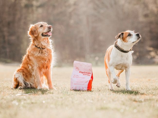 Buddy Wild Caught Salmon 12 kg