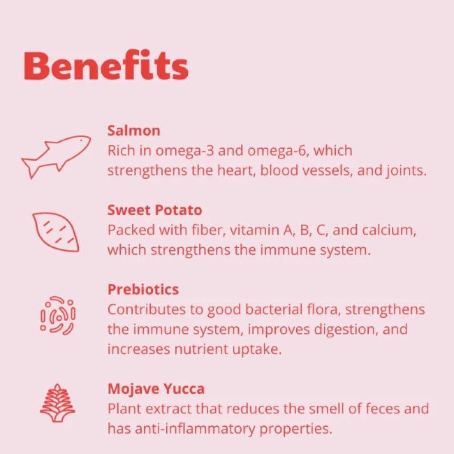 Buddy Wild Caught Salmon 12 kg