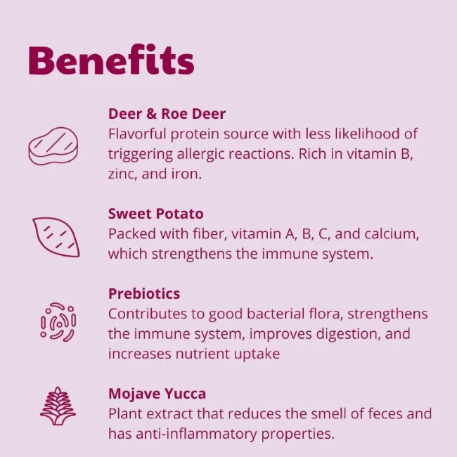 Buddy Wild Venison 2 kg