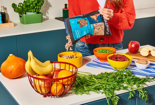 Carnibest Easy Serve Eend 1000 g zak