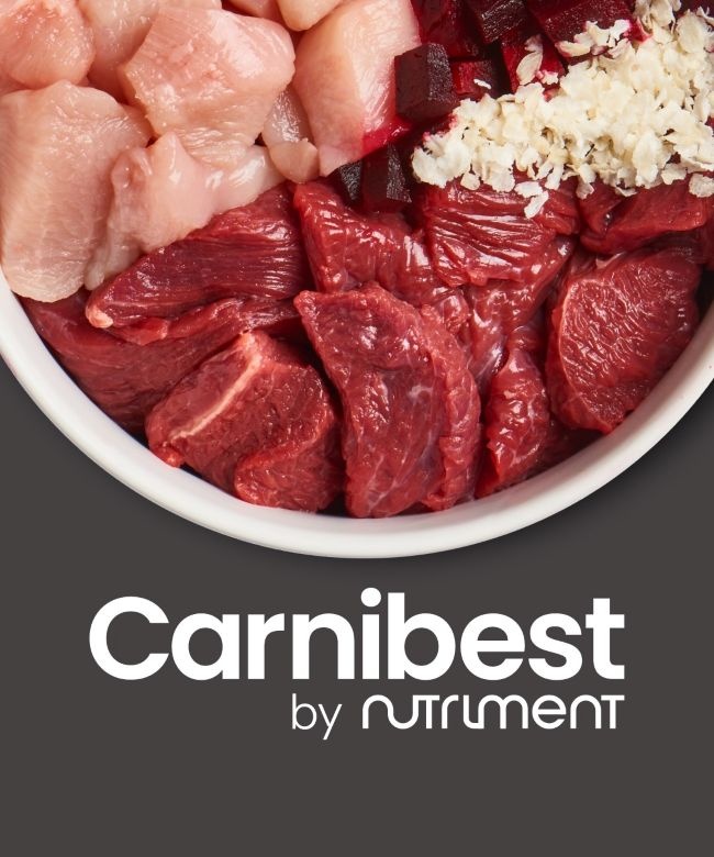 Carnibest Kip & rijst 1000 g worst