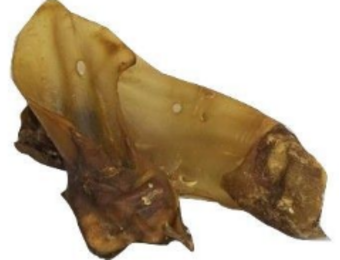 Carnis Buffeloren met schelp 4 stuks