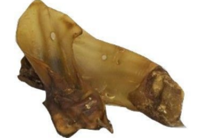 Carnis Buffeloren met schelp 10 stuks